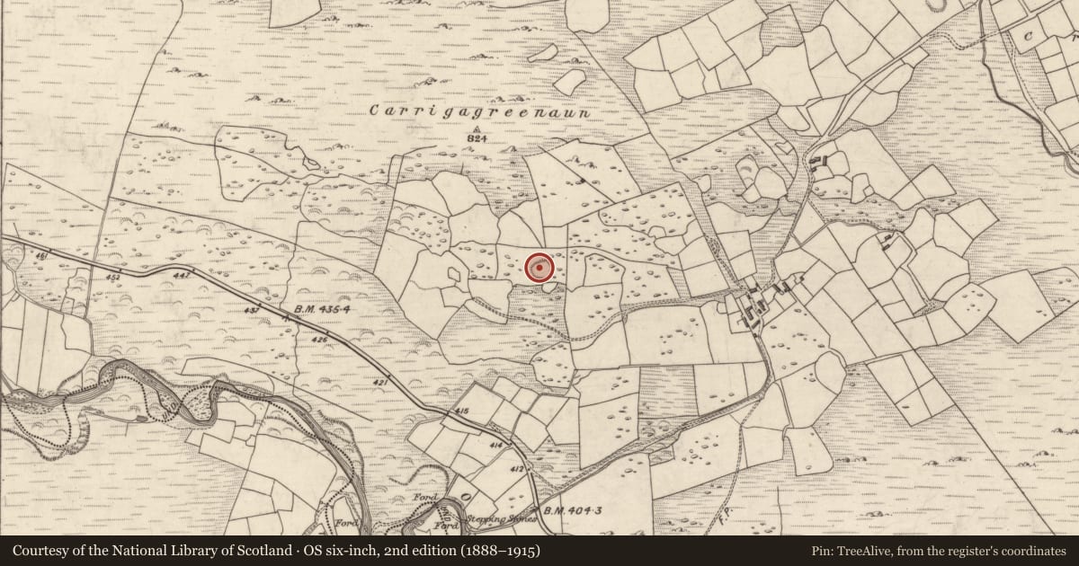 Ordnance Survey six-inch map, 2nd edition (1888–1915) covering the location of Ringfort - rath, Mangerton, County Kerry, with a pin at the register's coordinates