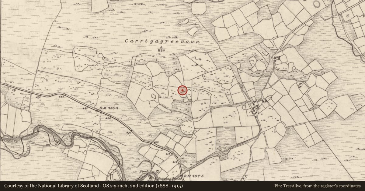 Ordnance Survey six-inch map, 2nd edition (1888–1915) covering the location of Hut site, Mangerton, County Kerry, with a pin at the register's coordinates