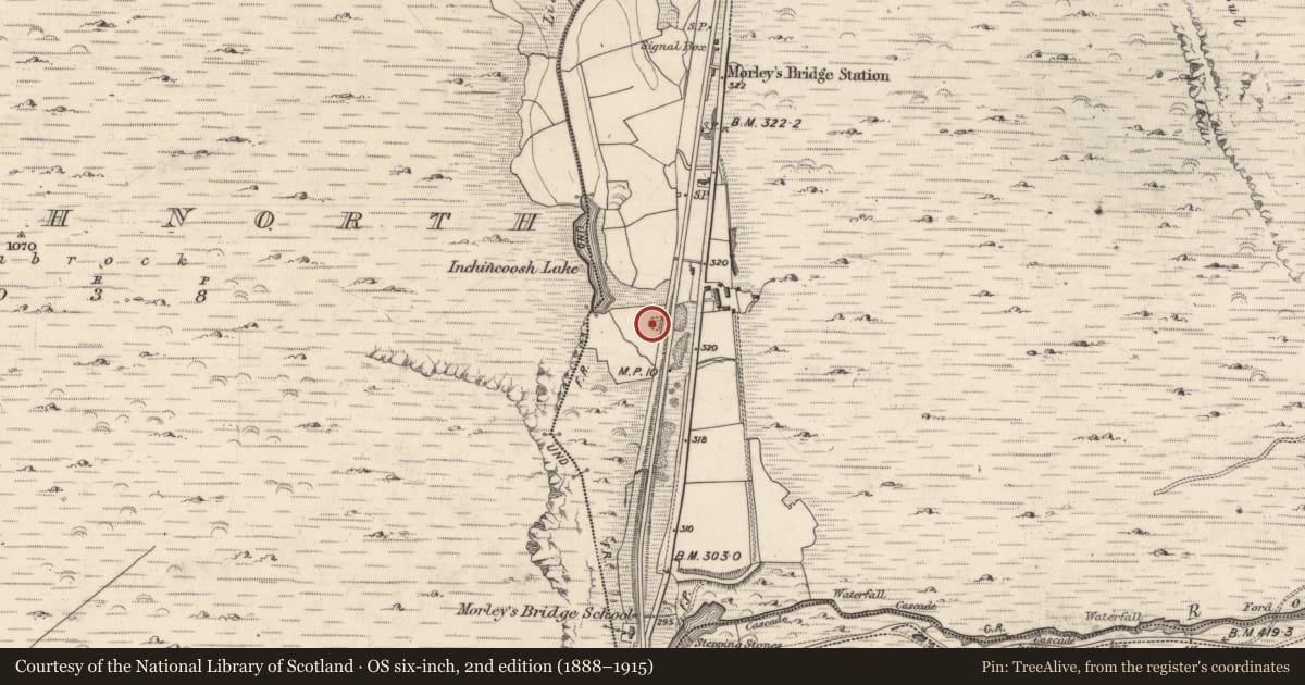 Ordnance Survey six-inch map, 2nd edition (1888–1915) covering the location of Enclosure, Inchincoosh, County Kerry, with a pin at the register's coordinates