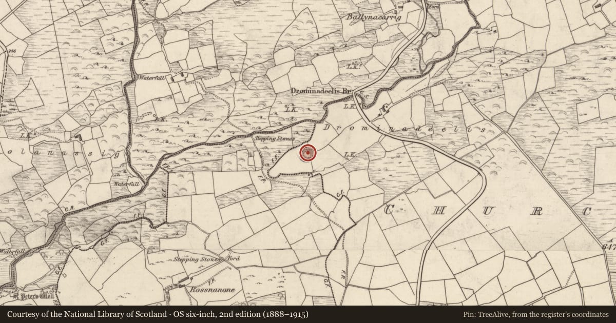 Ordnance Survey six-inch map, 2nd edition (1888–1915) covering the location of Ringfort - rath, Churchground, County Kerry, with a pin at the register's coordinates