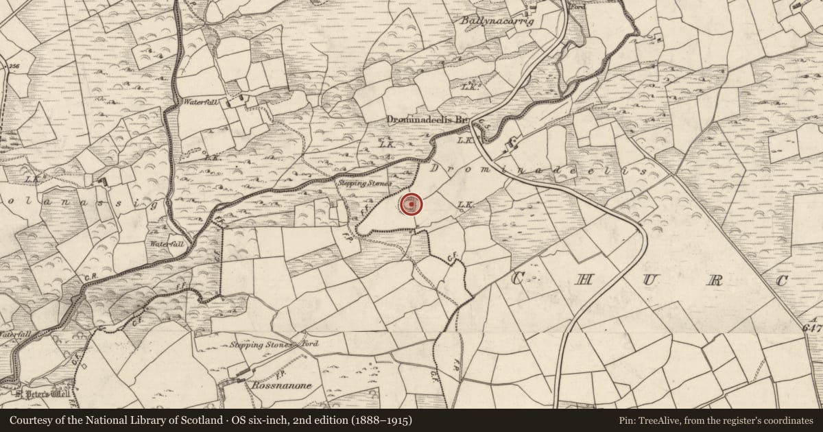 Ordnance Survey six-inch map, 2nd edition (1888–1915) covering the location of Kiln - lime, Churchground, County Kerry, with a pin at the register's coordinates