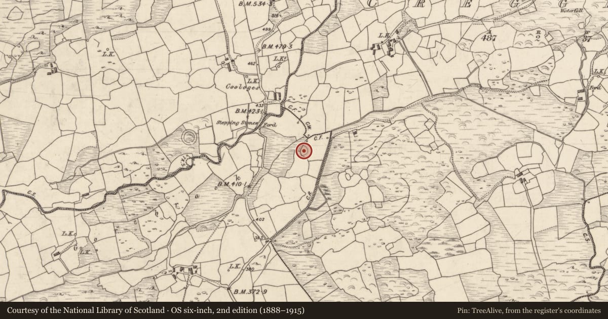 Ordnance Survey six-inch map, 2nd edition (1888–1915) covering the location of Ringfort - rath, Churchground, County Kerry, with a pin at the register's coordinates