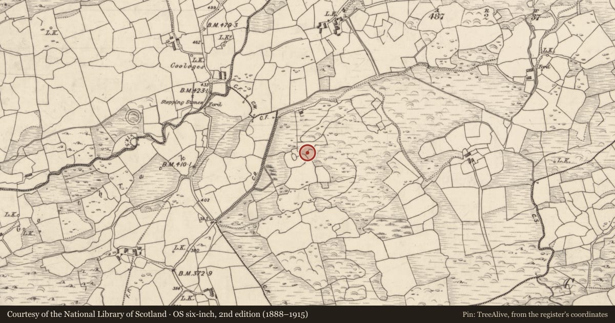 Ordnance Survey six-inch map, 2nd edition (1888–1915) covering the location of Souterrain, Creggeen, County Kerry, with a pin at the register's coordinates