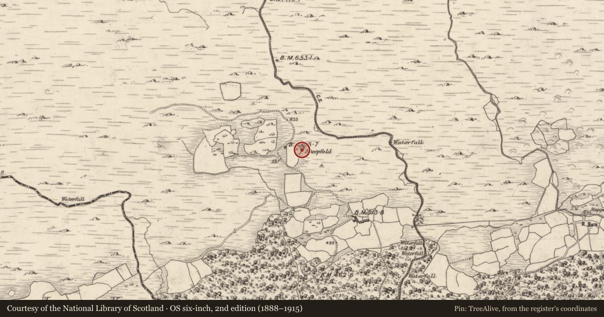 Ordnance Survey six-inch map, 2nd edition (1888–1915) covering the location of Enclosure, Derrybanane, County Kerry, with a pin at the register's coordinates