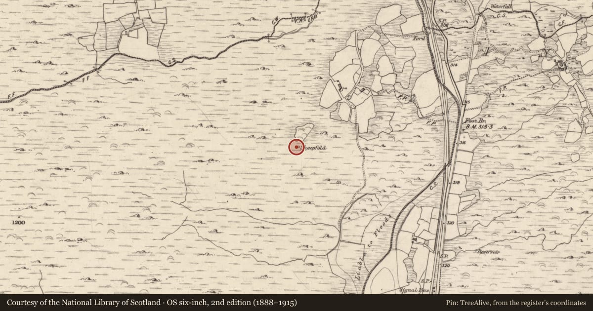 Ordnance Survey six-inch map, 2nd edition (1888–1915) covering the location of Enclosure, Redtrench North, County Kerry, with a pin at the register's coordinates