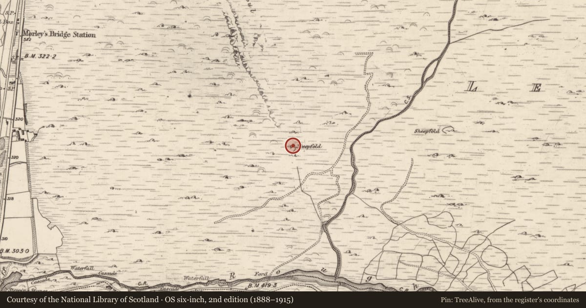 Ordnance Survey six-inch map, 2nd edition (1888–1915) covering the location of Enclosure, Inchincoosh, County Kerry, with a pin at the register's coordinates