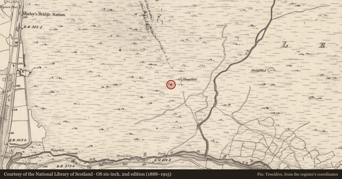 Ordnance Survey six-inch map, 2nd edition (1888–1915) covering the location of Hut site, Inchincoosh, County Kerry, with a pin at the register's coordinates