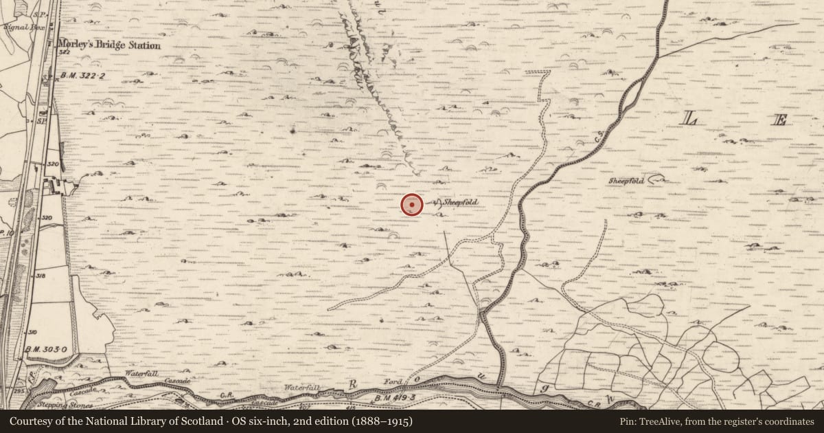 Ordnance Survey six-inch map, 2nd edition (1888–1915) covering the location of Hut site, Inchincoosh, County Kerry, with a pin at the register's coordinates