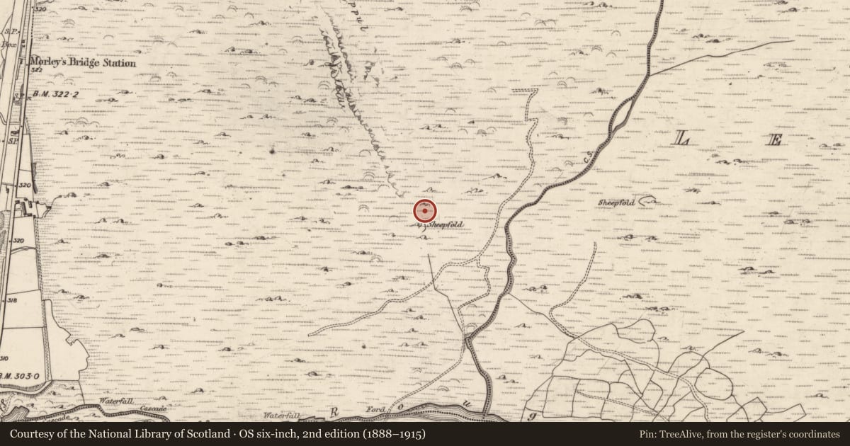 Ordnance Survey six-inch map, 2nd edition (1888–1915) covering the location of Hut site, Inchincoosh, County Kerry, with a pin at the register's coordinates