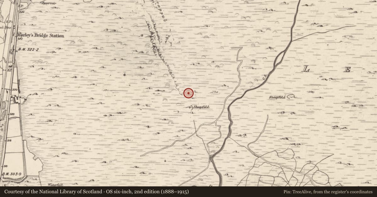 Ordnance Survey six-inch map, 2nd edition (1888–1915) covering the location of Enclosure, Inchincoosh, County Kerry, with a pin at the register's coordinates