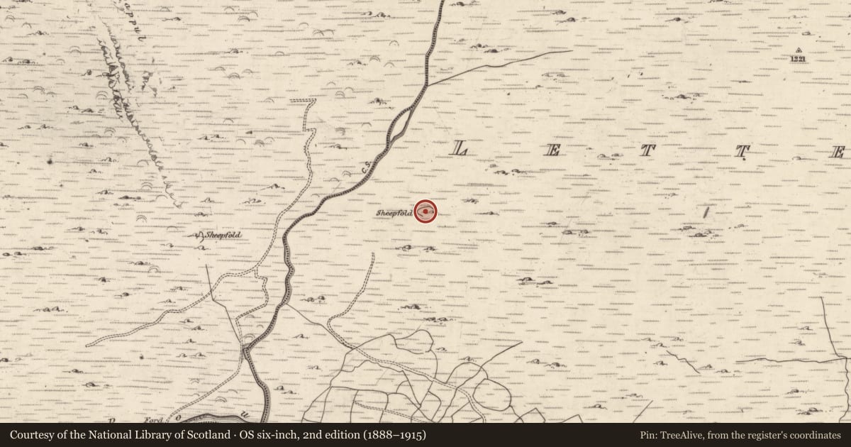 Ordnance Survey six-inch map, 2nd edition (1888–1915) covering the location of Enclosure, Lettercannon, County Kerry, with a pin at the register's coordinates