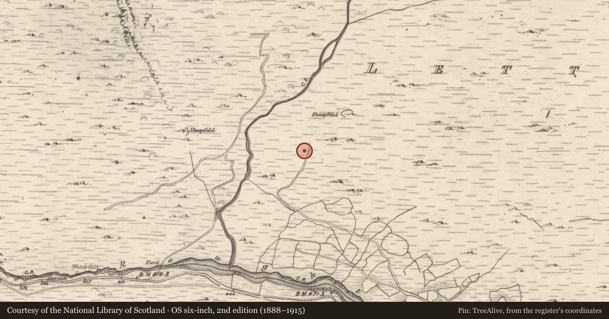 Ordnance Survey six-inch map, 2nd edition (1888–1915) covering the location of Enclosure, Lettercannon, County Kerry, with a pin at the register's coordinates
