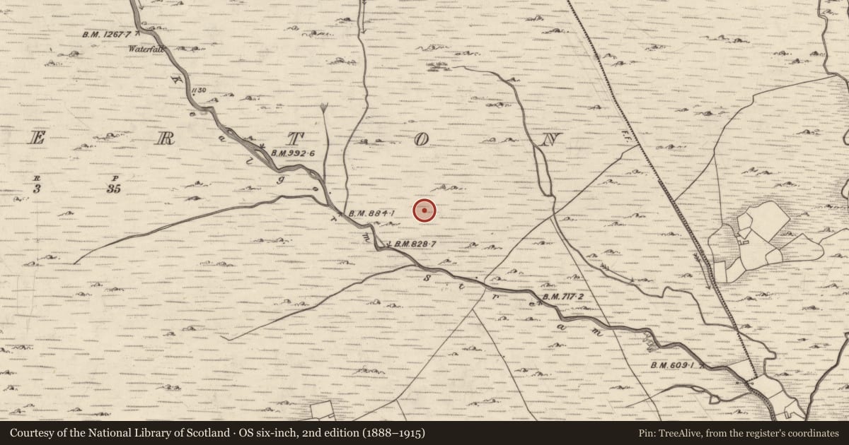 Ordnance Survey six-inch map, 2nd edition (1888–1915) covering the location of Hut site, Mangerton, County Kerry, with a pin at the register's coordinates