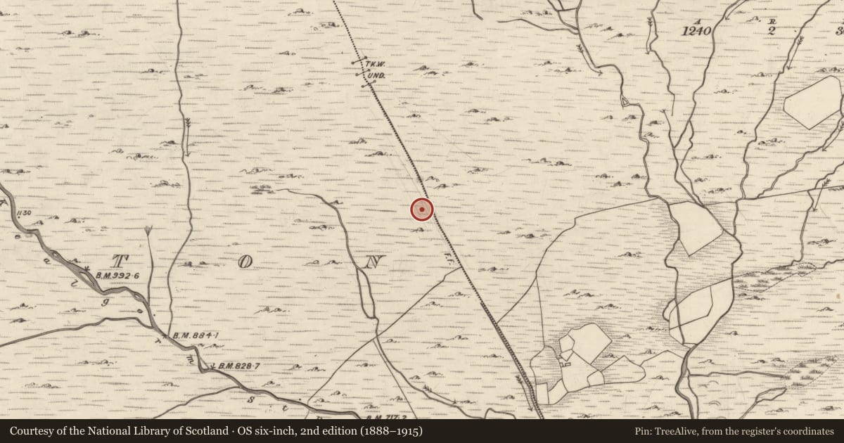 Ordnance Survey six-inch map, 2nd edition (1888–1915) covering the location of Hut site, Mangerton, County Kerry, with a pin at the register's coordinates
