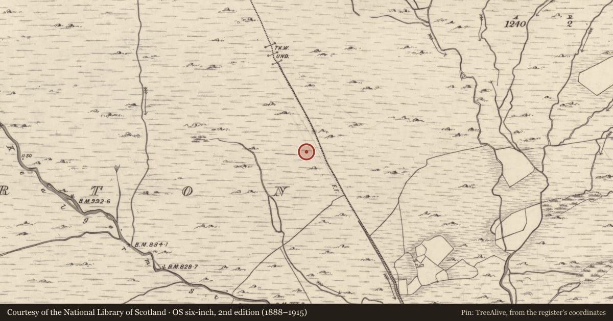 Ordnance Survey six-inch map, 2nd edition (1888–1915) covering the location of Hut site, Mangerton, County Kerry, with a pin at the register's coordinates