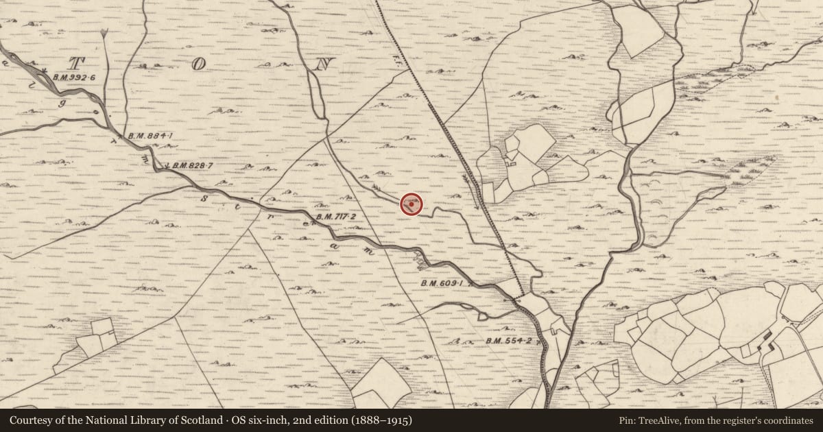 Ordnance Survey six-inch map, 2nd edition (1888–1915) covering the location of Fulacht fia, Mangerton, County Kerry, with a pin at the register's coordinates