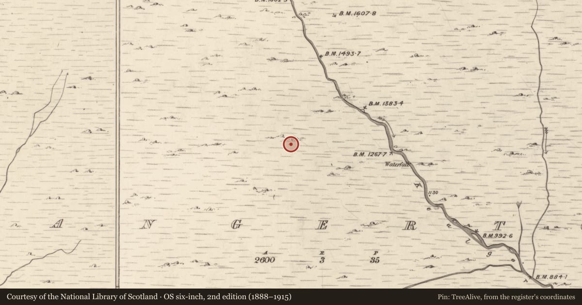 Ordnance Survey six-inch map, 2nd edition (1888–1915) covering the location of Hut site, Mangerton, County Kerry, with a pin at the register's coordinates