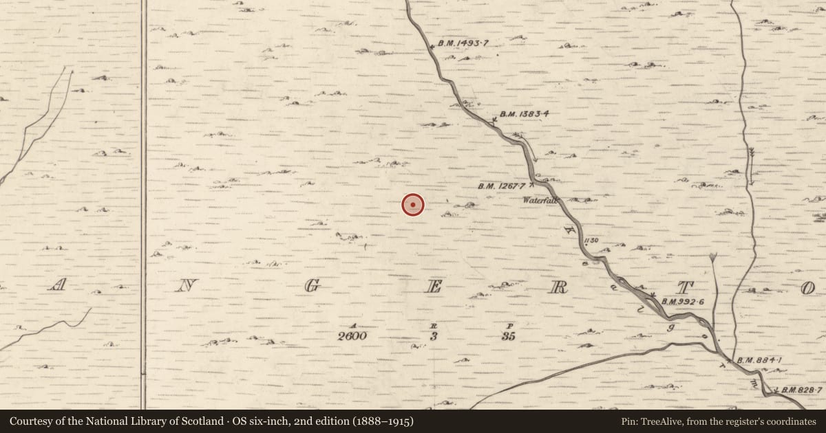 Ordnance Survey six-inch map, 2nd edition (1888–1915) covering the location of Hut site, Mangerton, County Kerry, with a pin at the register's coordinates