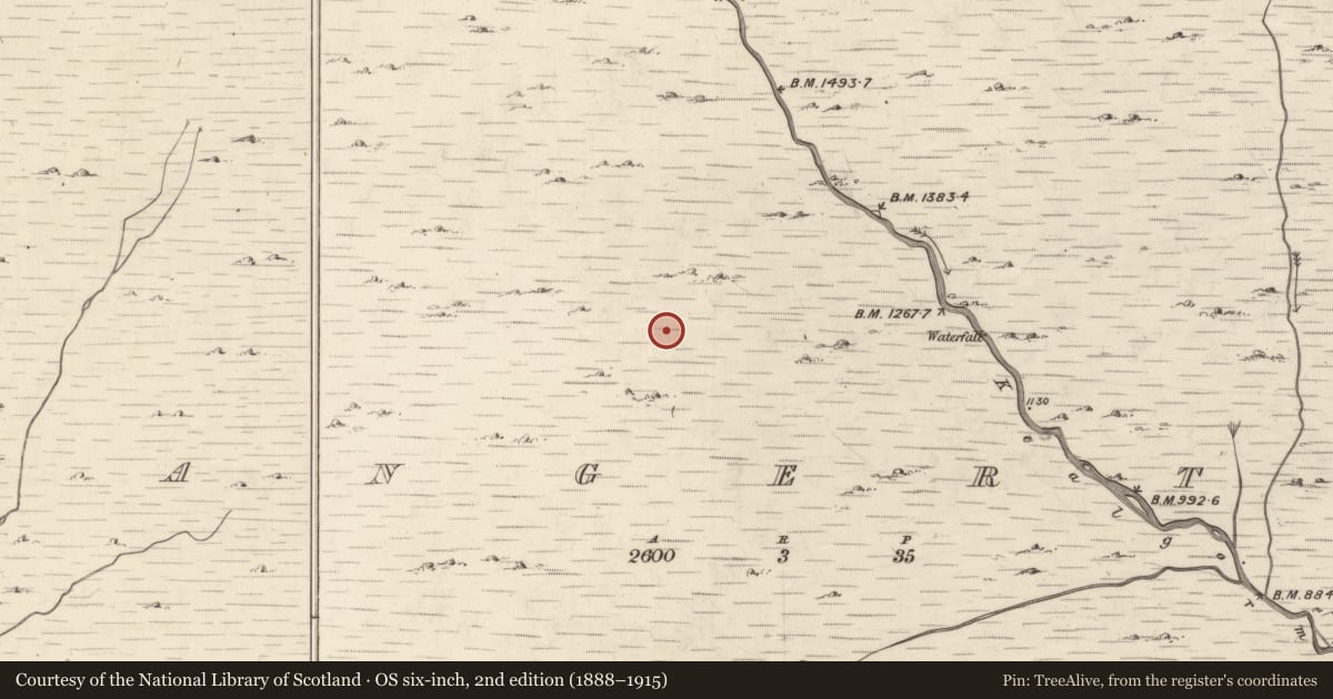 Ordnance Survey six-inch map, 2nd edition (1888–1915) covering the location of Field boundary, Mangerton, County Kerry, with a pin at the register's coordinates