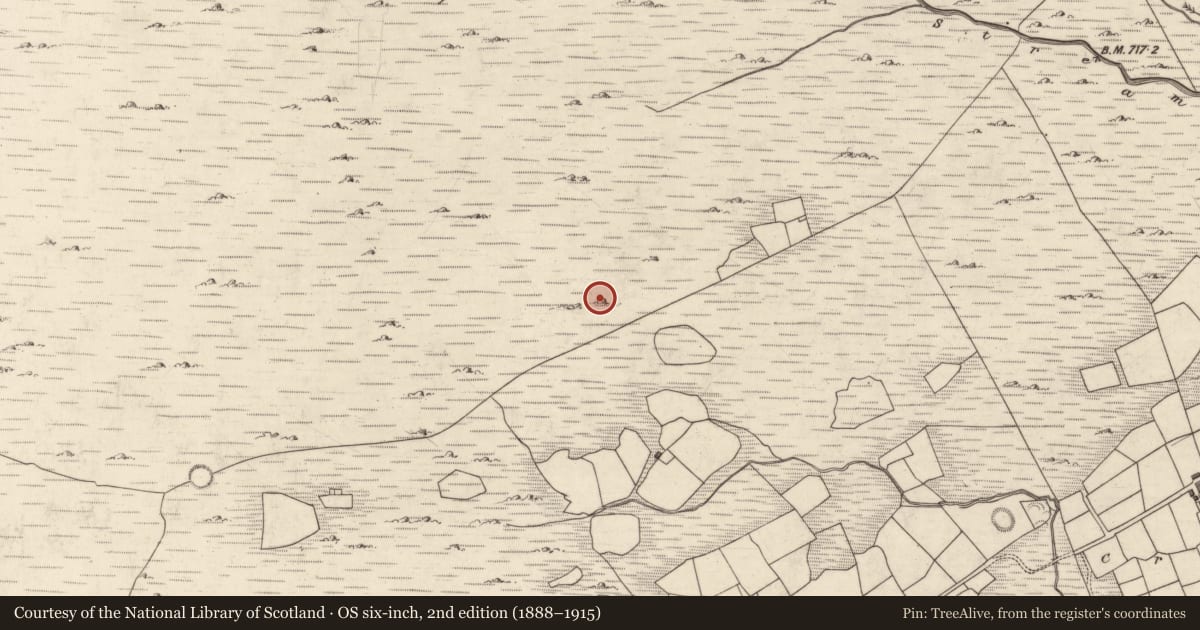 Ordnance Survey six-inch map, 2nd edition (1888–1915) covering the location of Hut site, Mangerton, County Kerry, with a pin at the register's coordinates