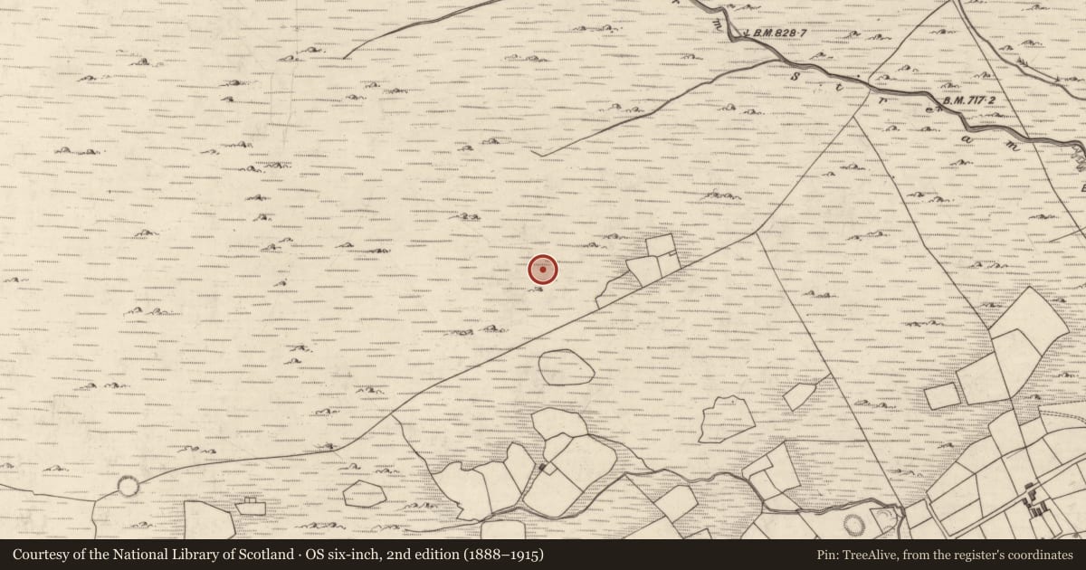Ordnance Survey six-inch map, 2nd edition (1888–1915) covering the location of Enclosure, Mangerton, County Kerry, with a pin at the register's coordinates