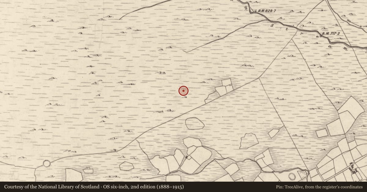 Ordnance Survey six-inch map, 2nd edition (1888–1915) covering the location of Field boundary, Mangerton, County Kerry, with a pin at the register's coordinates