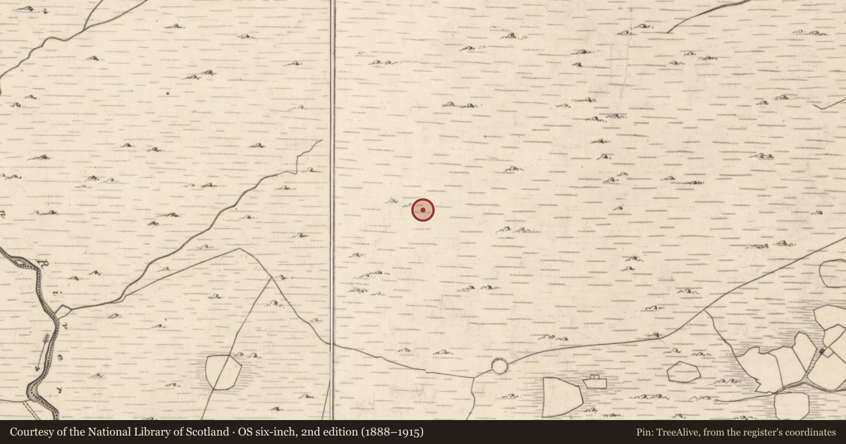 Ordnance Survey six-inch map, 2nd edition (1888–1915) covering the location of Hut site, Mangerton, County Kerry, with a pin at the register's coordinates