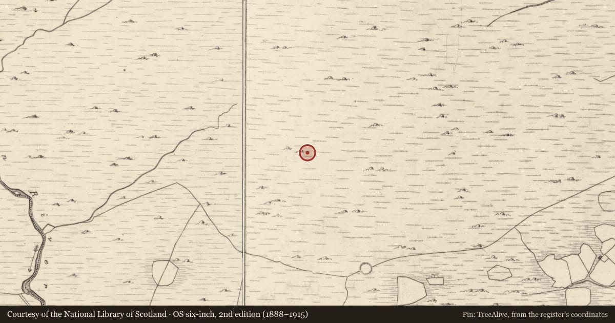 Ordnance Survey six-inch map, 2nd edition (1888–1915) covering the location of Field boundary, Mangerton, County Kerry, with a pin at the register's coordinates