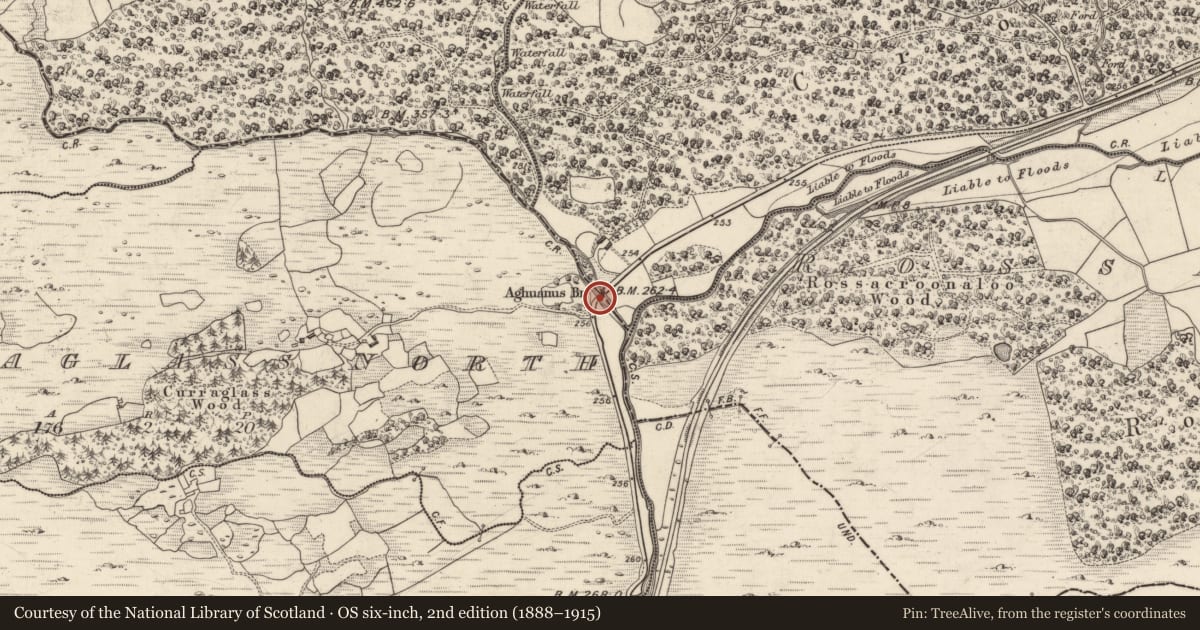 Ordnance Survey six-inch map, 2nd edition (1888–1915) covering the location of Bridge, Crohane, Curraglass North, County Kerry, with a pin at the register's coordinates