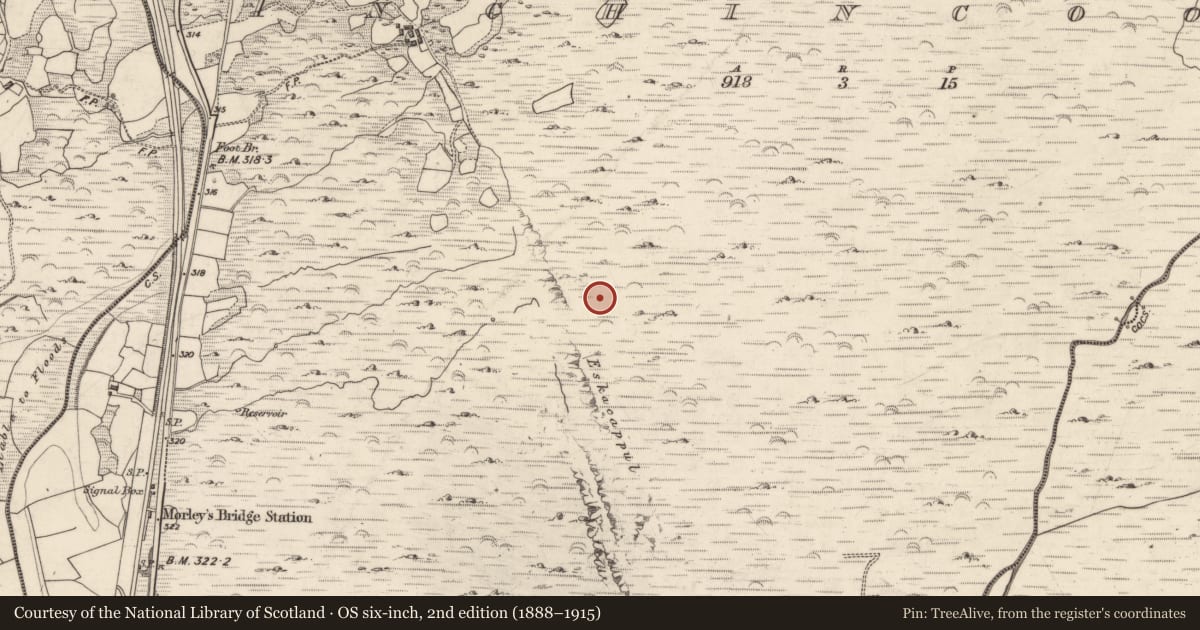 Ordnance Survey six-inch map, 2nd edition (1888–1915) covering the location of Enclosure, Inchincoosh, County Kerry, with a pin at the register's coordinates