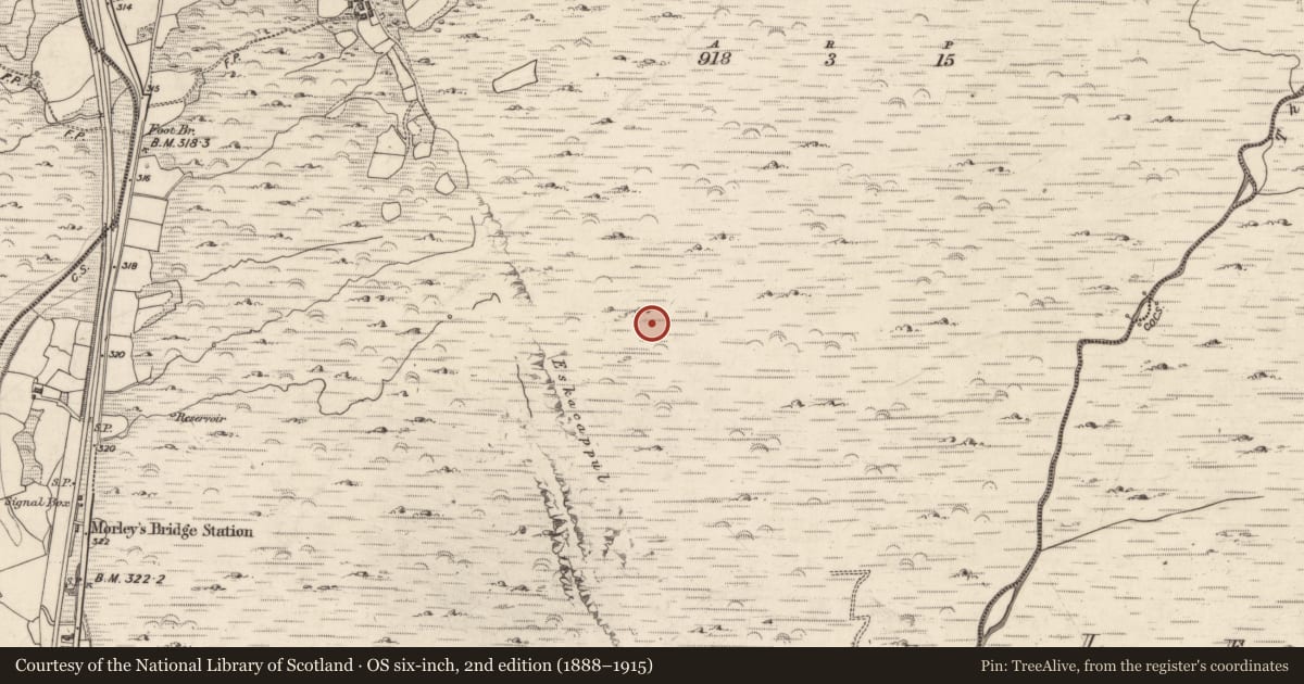 Ordnance Survey six-inch map, 2nd edition (1888–1915) covering the location of Hut site, Inchincoosh, County Kerry, with a pin at the register's coordinates