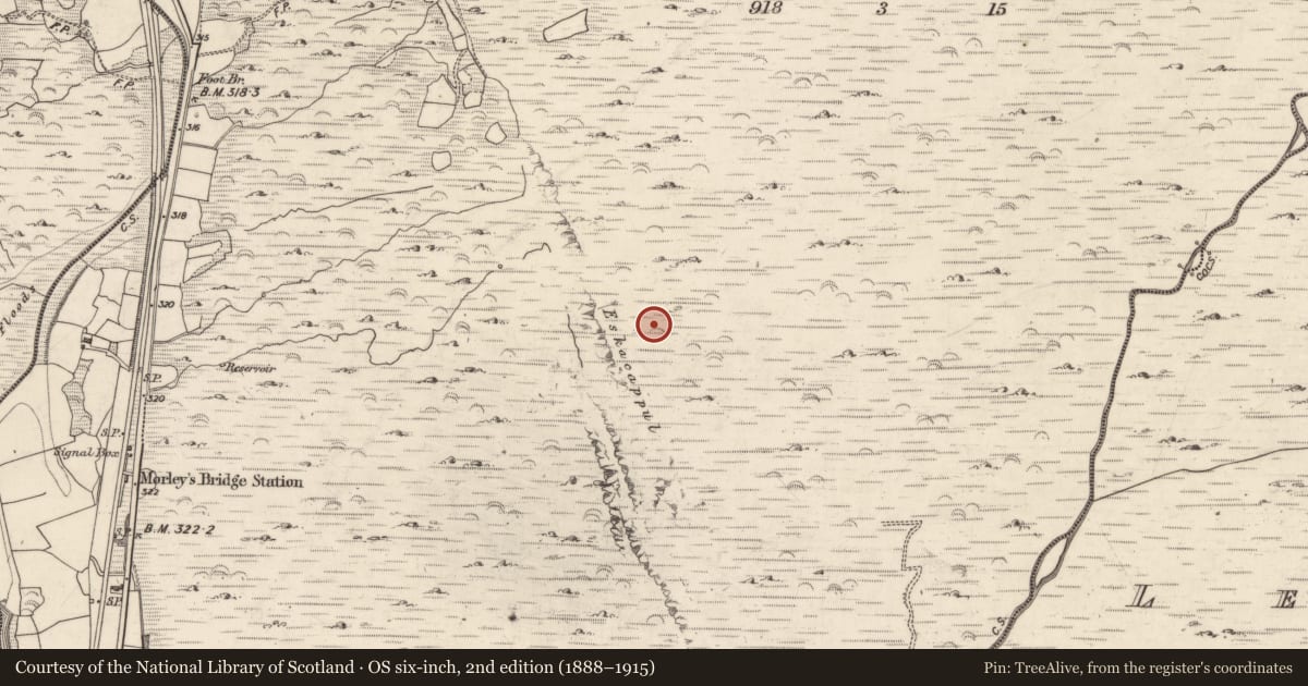 Ordnance Survey six-inch map, 2nd edition (1888–1915) covering the location of Hut site, Inchincoosh, County Kerry, with a pin at the register's coordinates