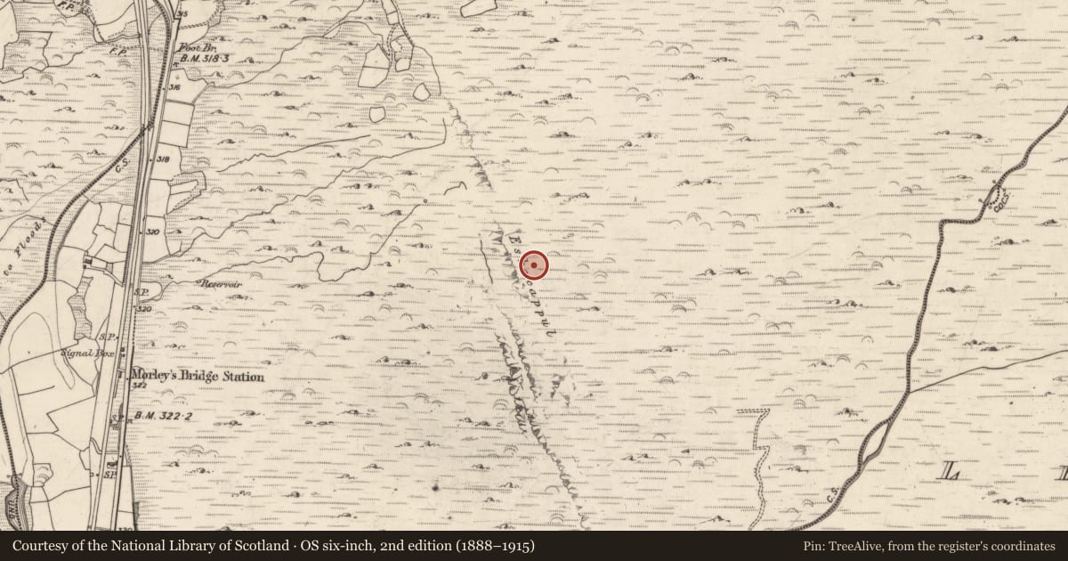 Ordnance Survey six-inch map, 2nd edition (1888–1915) covering the location of Enclosure, Inchincoosh, County Kerry, with a pin at the register's coordinates