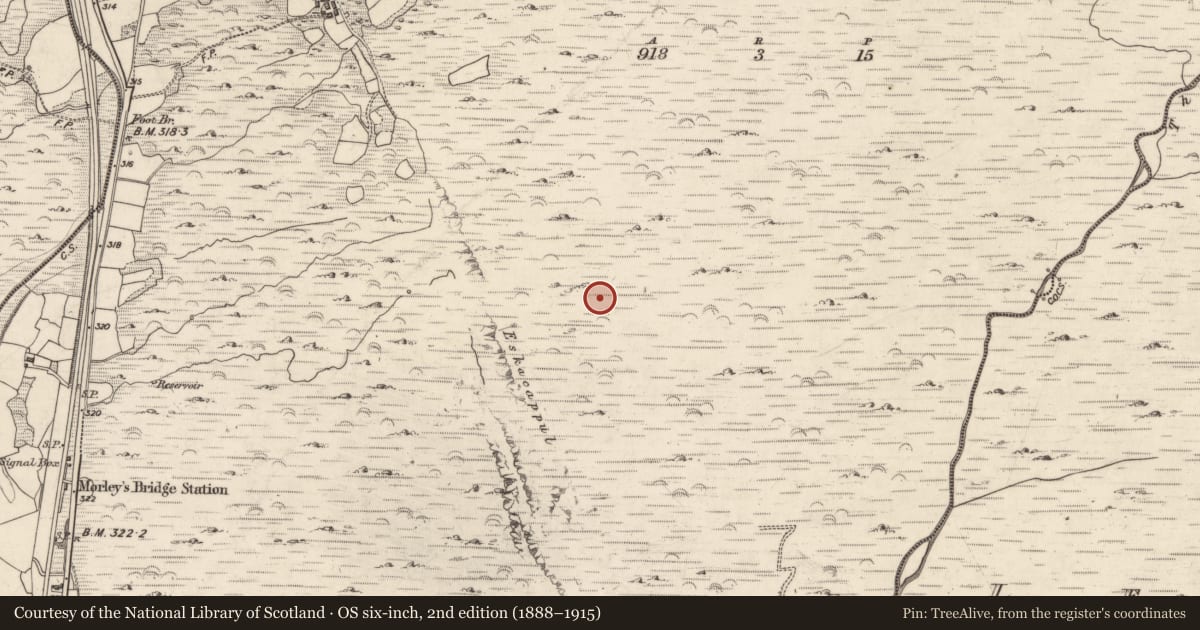 Ordnance Survey six-inch map, 2nd edition (1888–1915) covering the location of Hut site, Inchincoosh, County Kerry, with a pin at the register's coordinates