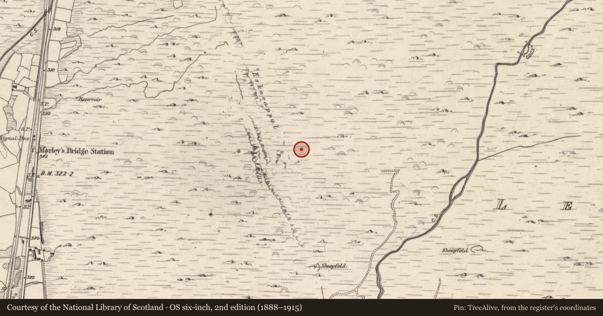Ordnance Survey six-inch map, 2nd edition (1888–1915) covering the location of Hut site, Inchincoosh, County Kerry, with a pin at the register's coordinates