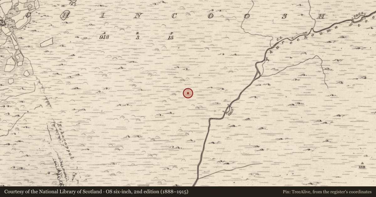 Ordnance Survey six-inch map, 2nd edition (1888–1915) covering the location of Hut site, Inchincoosh, County Kerry, with a pin at the register's coordinates