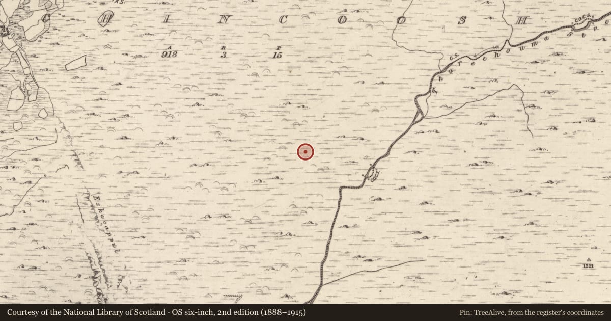 Ordnance Survey six-inch map, 2nd edition (1888–1915) covering the location of Hut site, Inchincoosh, County Kerry, with a pin at the register's coordinates