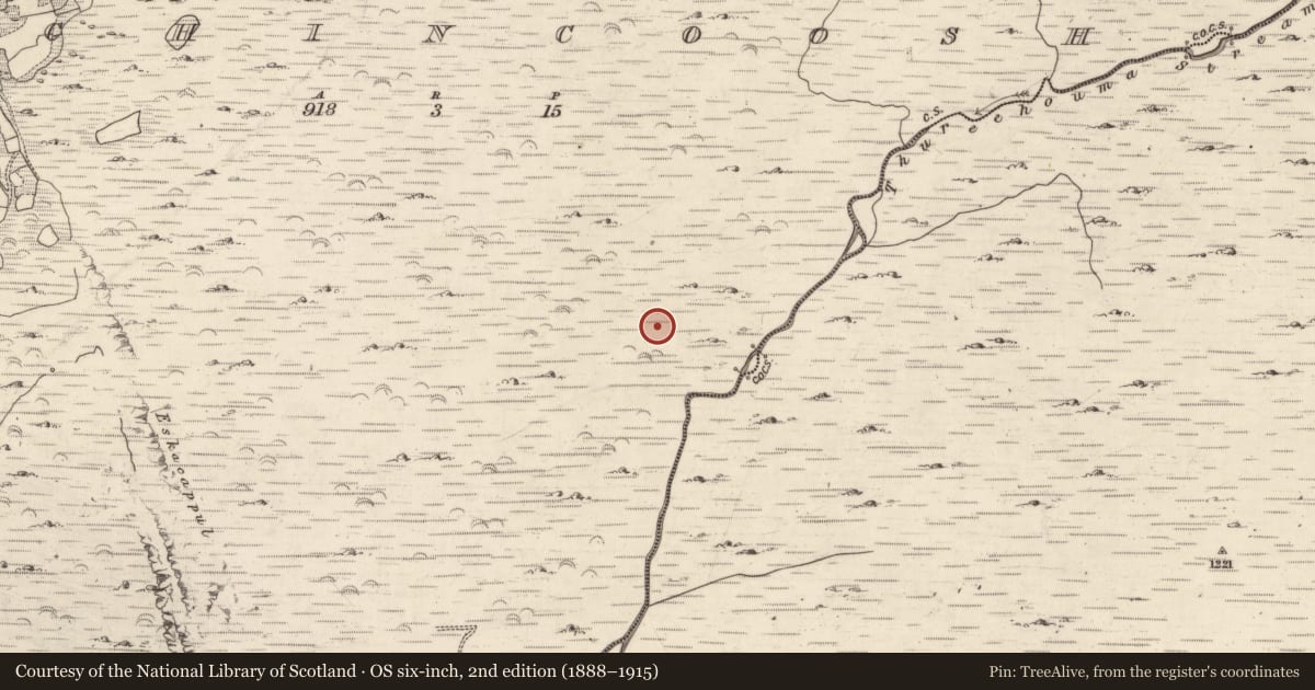 Ordnance Survey six-inch map, 2nd edition (1888–1915) covering the location of Hut site, Inchincoosh, County Kerry, with a pin at the register's coordinates