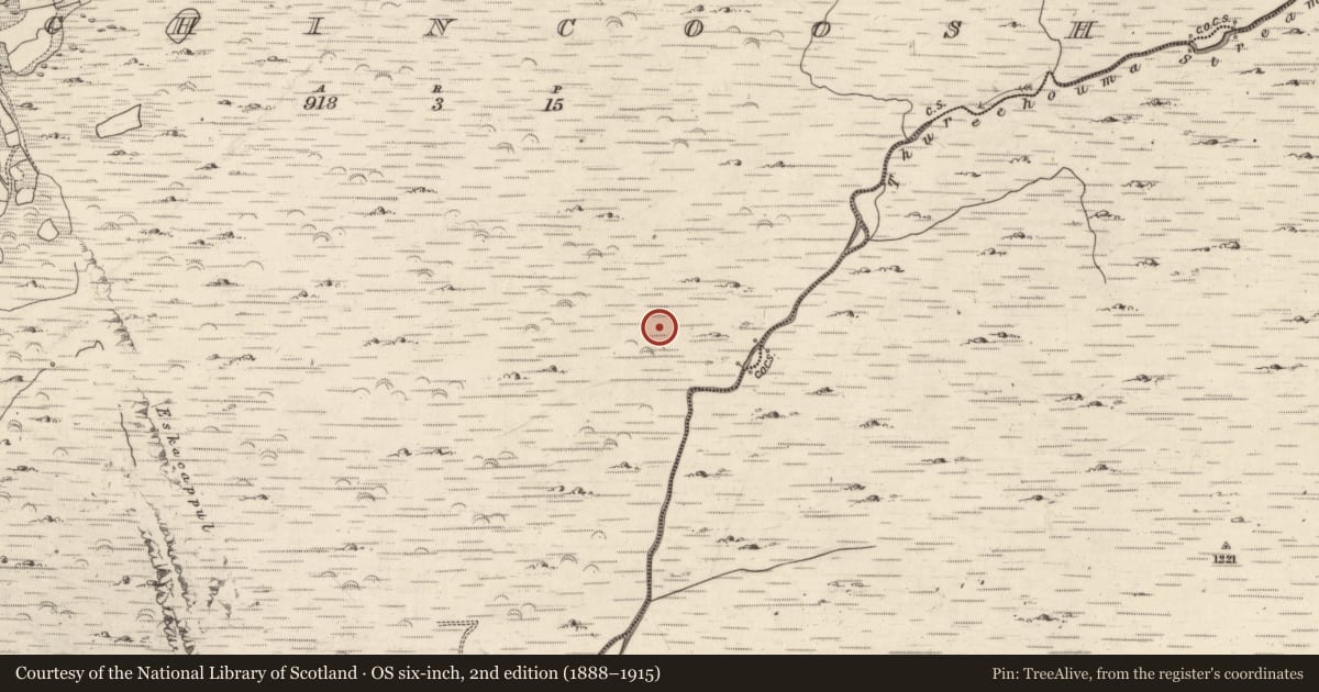 Ordnance Survey six-inch map, 2nd edition (1888–1915) covering the location of Hut site, Inchincoosh, County Kerry, with a pin at the register's coordinates