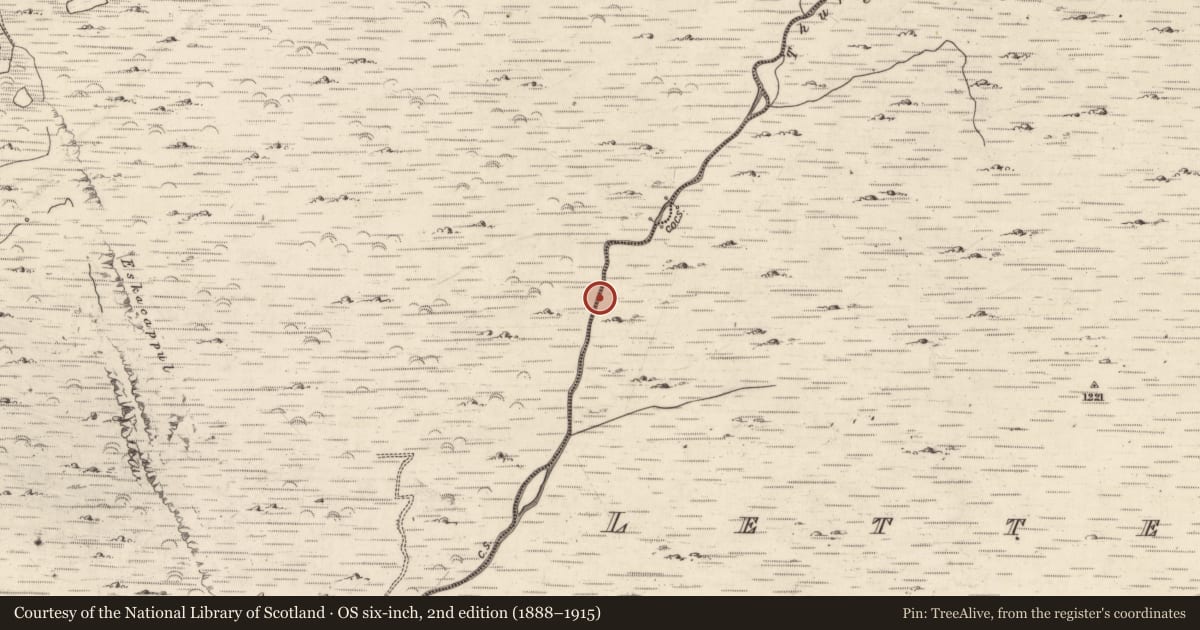 Ordnance Survey six-inch map, 2nd edition (1888–1915) covering the location of Hut site, Lettercannon, County Kerry, with a pin at the register's coordinates