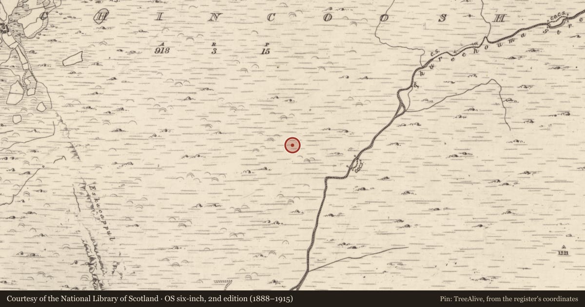 Ordnance Survey six-inch map, 2nd edition (1888–1915) covering the location of Hut site, Inchincoosh, County Kerry, with a pin at the register's coordinates