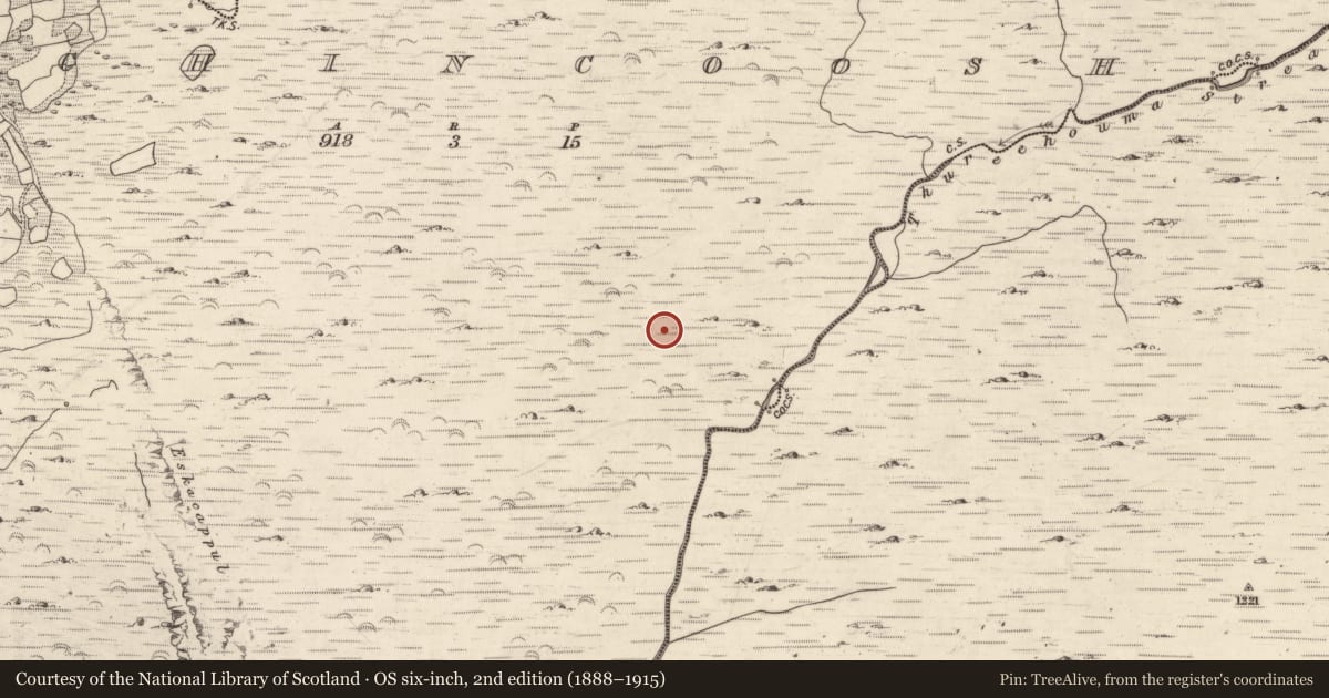 Ordnance Survey six-inch map, 2nd edition (1888–1915) covering the location of Field boundary, Inchincoosh, County Kerry, with a pin at the register's coordinates