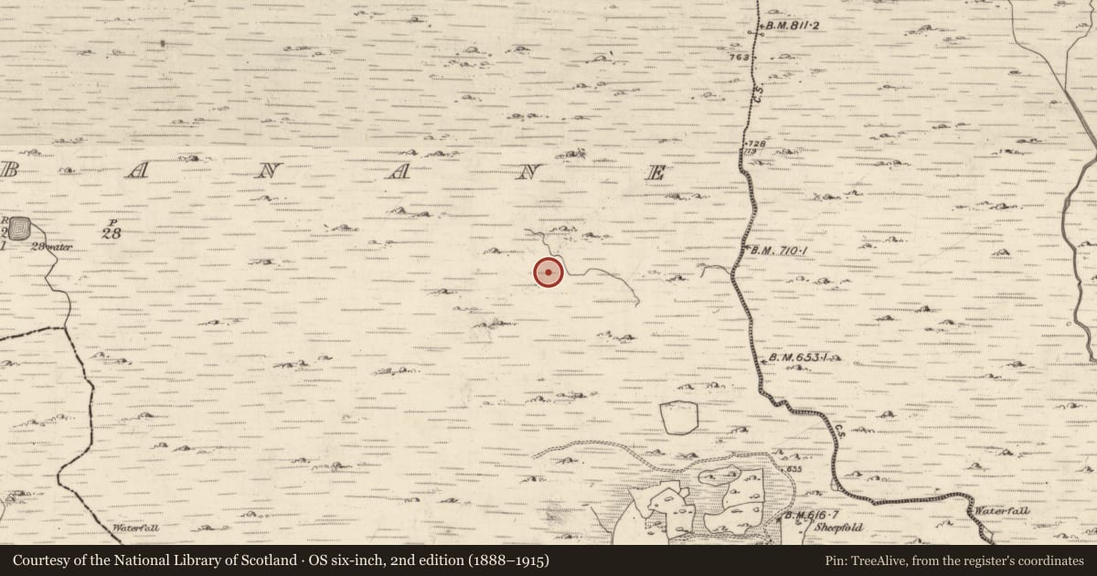 Ordnance Survey six-inch map, 2nd edition (1888–1915) covering the location of Hut site, Derrybanane, County Kerry, with a pin at the register's coordinates