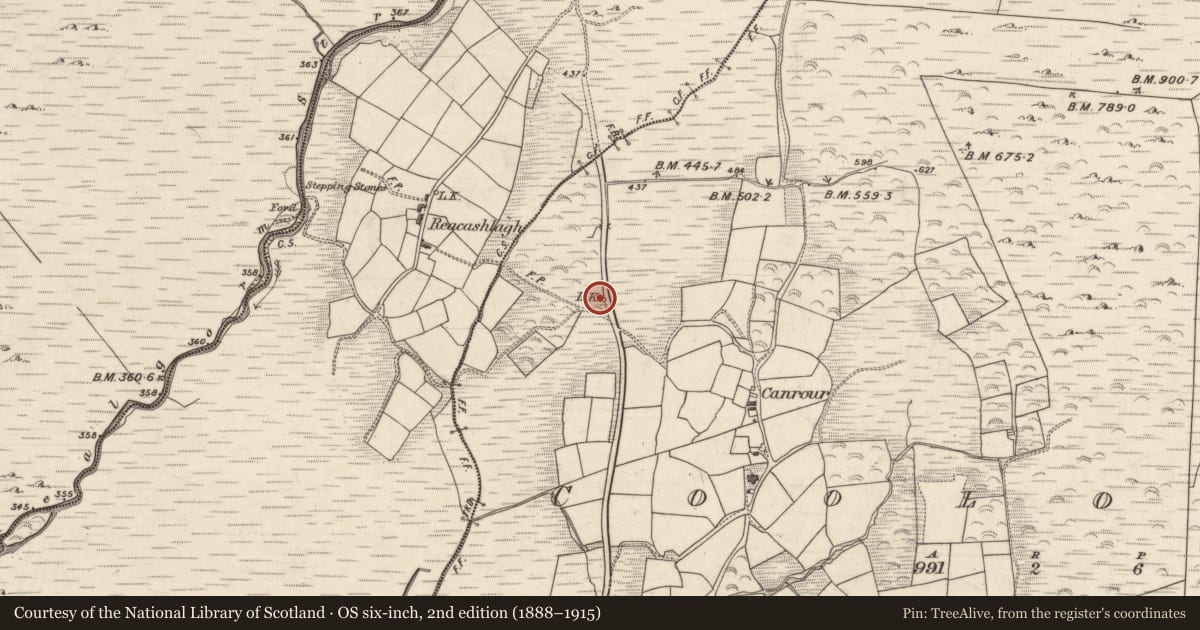 Ordnance Survey six-inch map, 2nd edition (1888–1915) covering the location of Kiln - lime, Coologes, County Kerry, with a pin at the register's coordinates