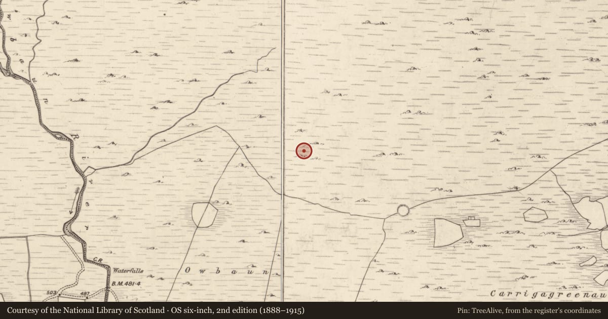 Ordnance Survey six-inch map, 2nd edition (1888–1915) covering the location of Hut site, Mangerton, County Kerry, with a pin at the register's coordinates