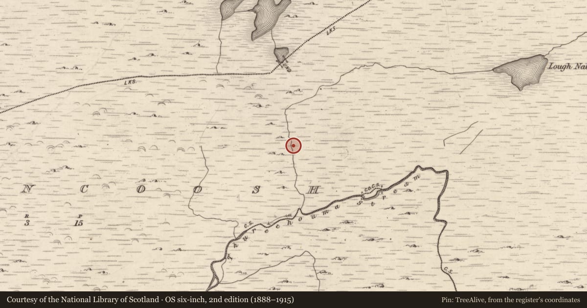 Ordnance Survey six-inch map, 2nd edition (1888–1915) covering the location of Hut site, Inchincoosh, County Kerry, with a pin at the register's coordinates