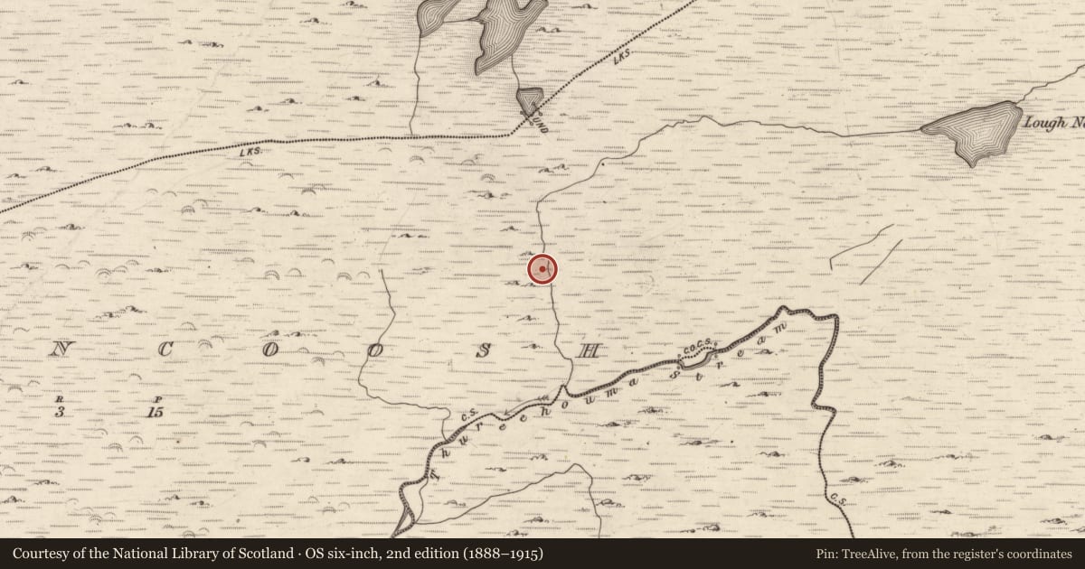 Ordnance Survey six-inch map, 2nd edition (1888–1915) covering the location of Hut site, Inchincoosh, County Kerry, with a pin at the register's coordinates