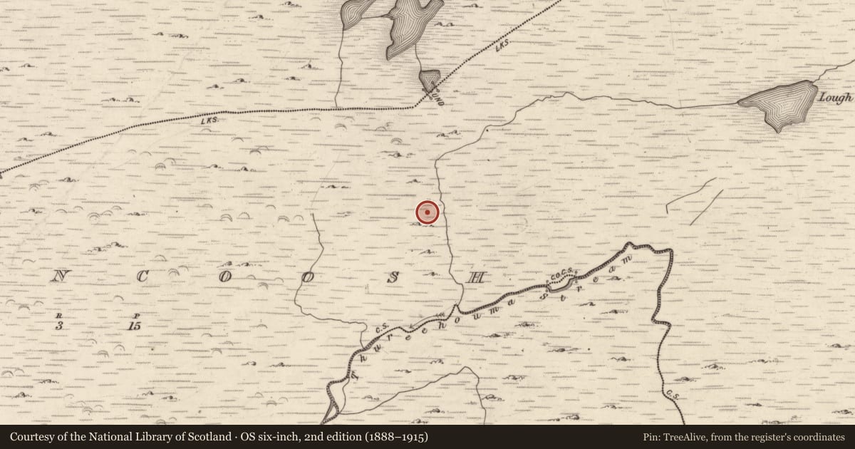 Ordnance Survey six-inch map, 2nd edition (1888–1915) covering the location of Hut site, Inchincoosh, County Kerry, with a pin at the register's coordinates