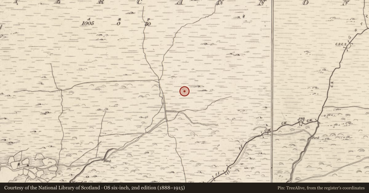 Ordnance Survey six-inch map, 2nd edition (1888–1915) covering the location of Megalithic tomb - unclassified, Lettercannon, County Kerry, with a pin at the register's coordinates