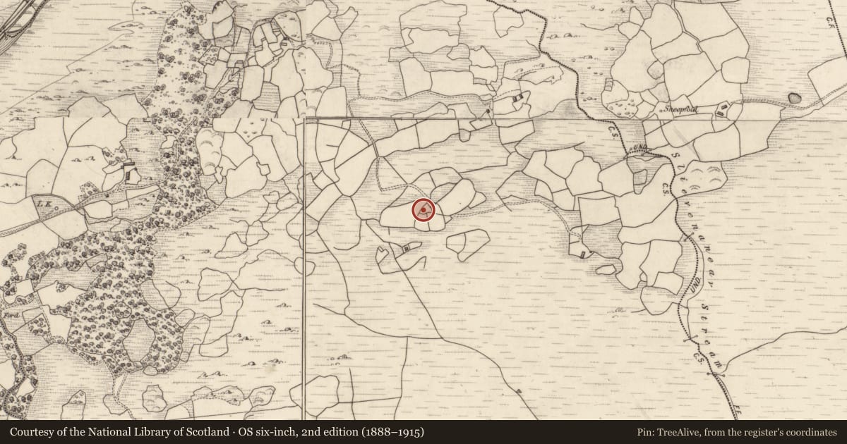 Ordnance Survey six-inch map, 2nd edition (1888–1915) covering the location of Ringfort - cashel, Gort An Tsléibhe, County Kerry, with a pin at the register's coordinates